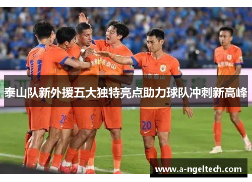 泰山队新外援五大独特亮点助力球队冲刺新高峰