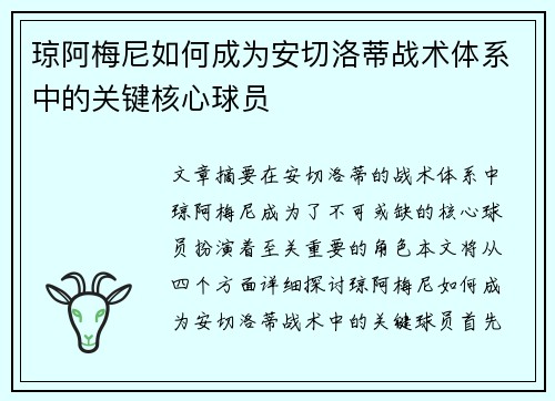 琼阿梅尼如何成为安切洛蒂战术体系中的关键核心球员