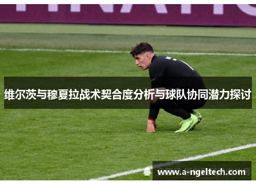 维尔茨与穆夏拉战术契合度分析与球队协同潜力探讨