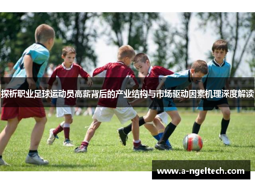 探析职业足球运动员高薪背后的产业结构与市场驱动因素机理深度解读
